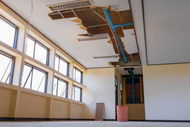 Best Water damage repair service  in Scotland Neck, NC
