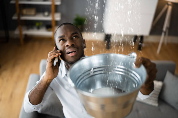 Water damage restoration mold remediation in Scotland Neck, NC