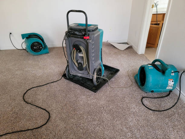 Best Fire Damage Restoration  in Scotland Neck, NC