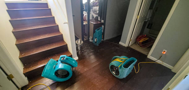 Best Emergency water damage restoration  in Scotland Neck, NC