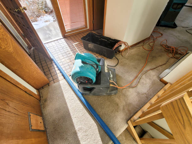 Best Commercial water damage restoration  in Scotland Neck, NC
