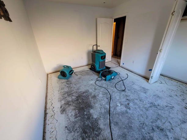 Best Flooded house restoration  in Scotland Neck, NC