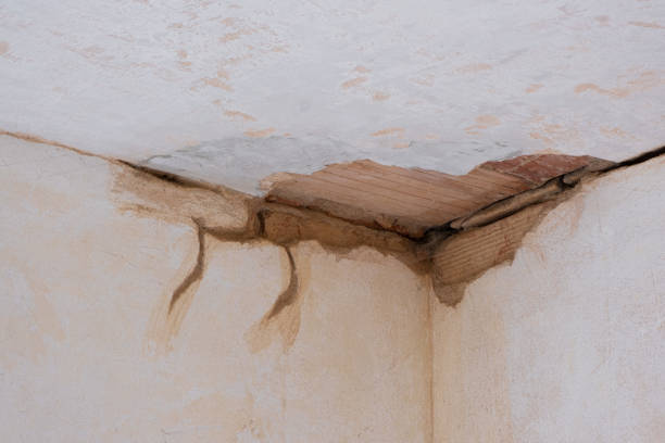 Best Commercial water damage restoration  in Scotland Neck, NC