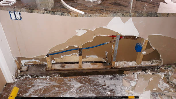Best Water damage restoration experts  in Scotland Neck, NC