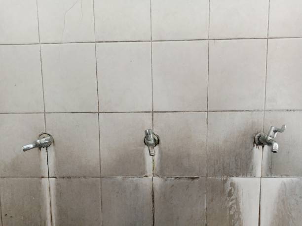 Water damage restoration insurance claims in Scotland Neck, NC