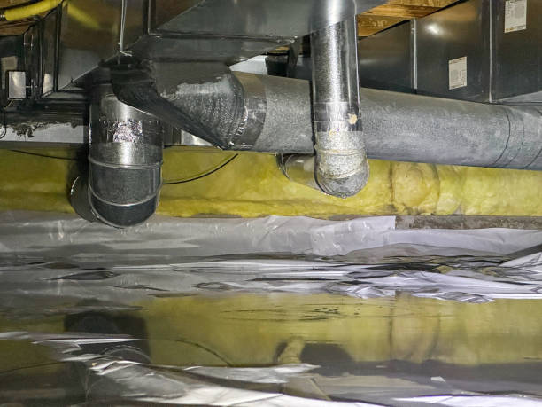 Best Flood restoration services  in Scotland Neck, NC