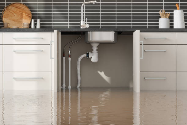 Best Fire Damage Restoration  in Scotland Neck, NC