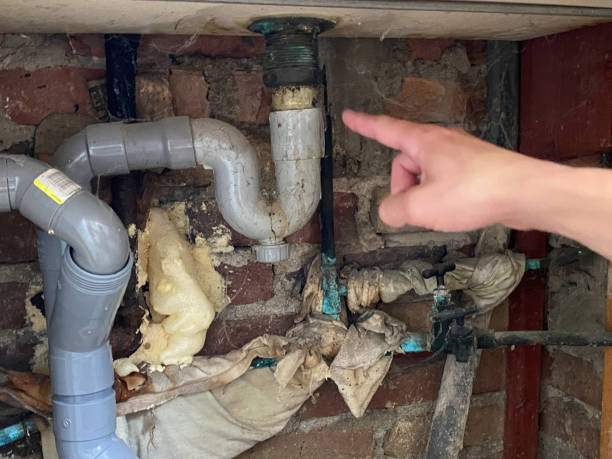Best Professional water damage repair  in Scotland Neck, NC