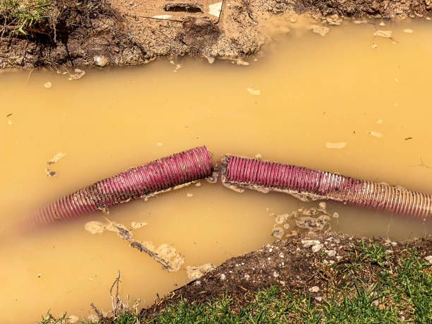 Scotland Neck, NC Water damage restoration Pros