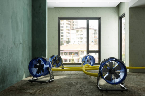 Best Water damage restoration insurance claims  in Scotland Neck, NC